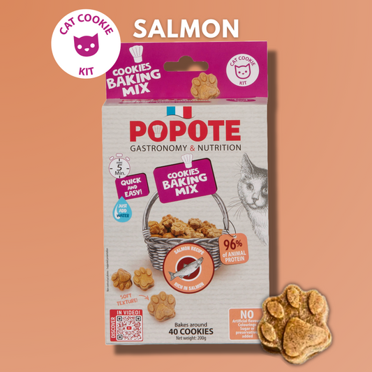 Cat Treats - Salmon Recipe