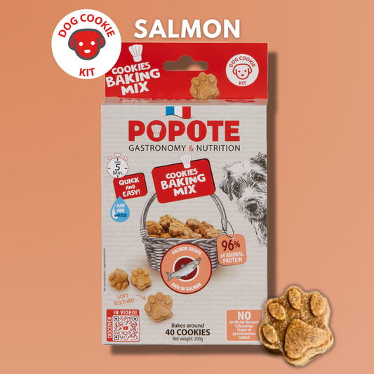 Dog Treats - Salmon Recipe
